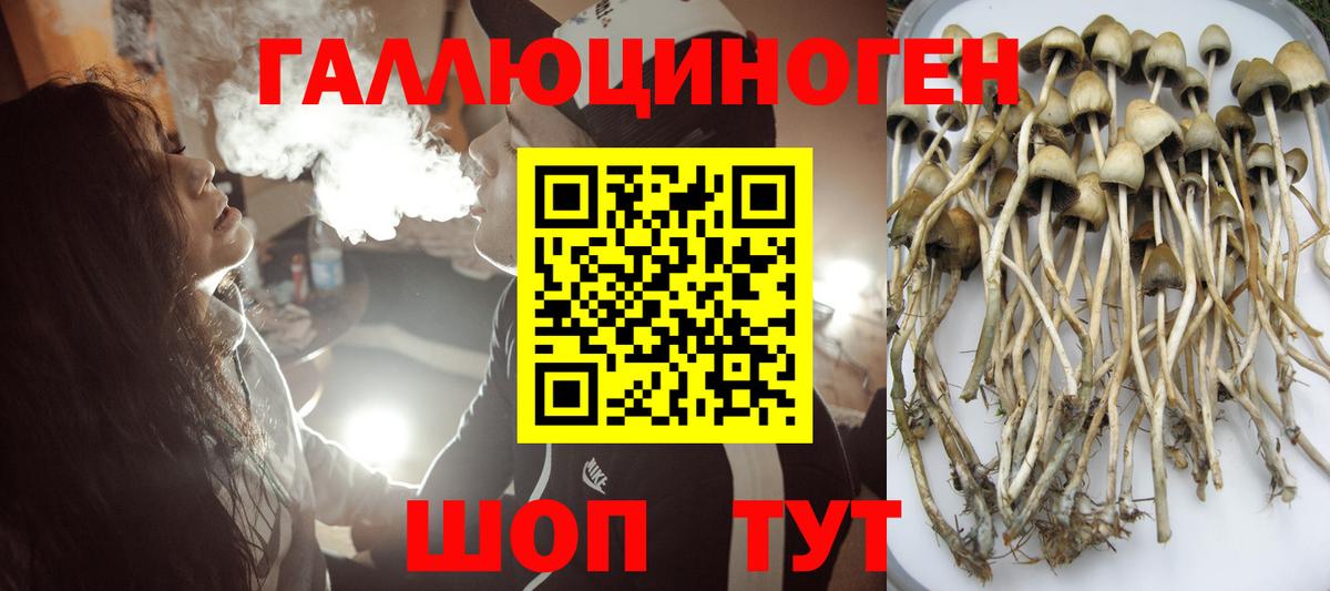 Псилоцибиновые грибы прущие грибы Пугачёв