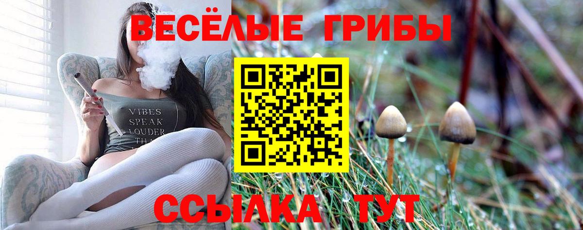 Пугачёв  Галлюциногенные грибы мицелий  Вход с VPN  Псилоцибиновые грибы Psilocybe 